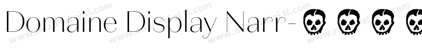 Domaine Display Narr字体转换